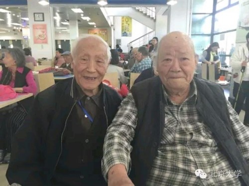 左為宋錫章,右為王濤✡︎,照片攝於農園