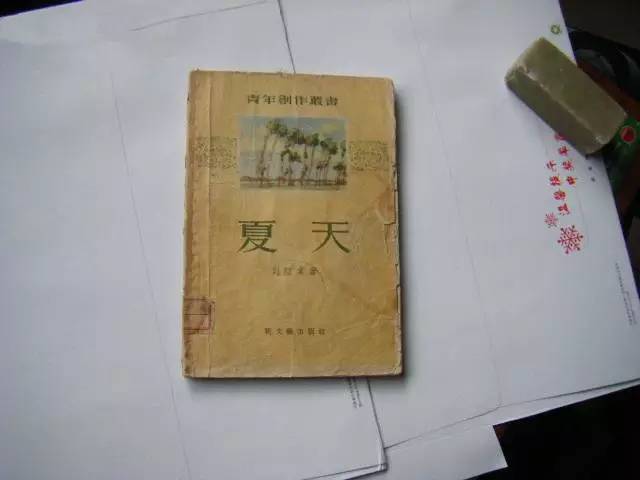 56年新文藝初版 劉紹棠小說《夏天》 運河的槳聲的續編 描寫合作社的鬥爭