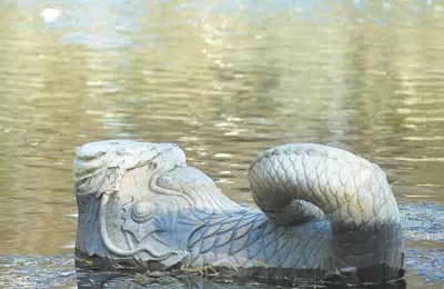 翻尾石魚