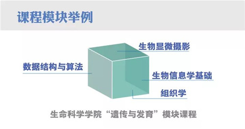 （註：部分課程可能略有調整，以實際發布的課表為準）