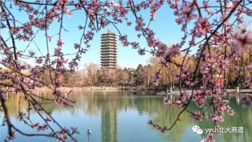 微信圖片_20180301132119