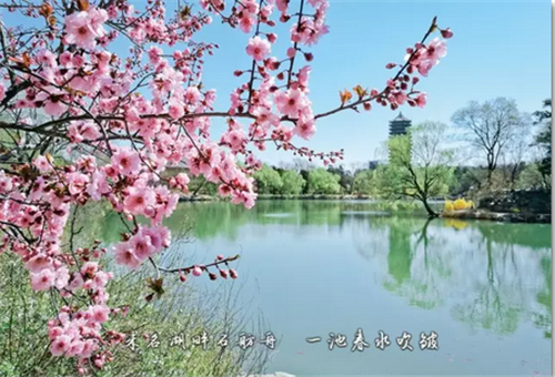 搜狗截圖17年09月12日1505_3