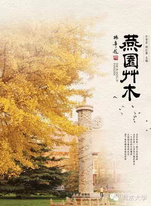 燕園草木