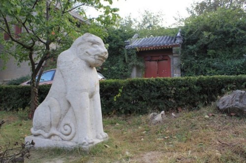 （靜園六院前的石虎）