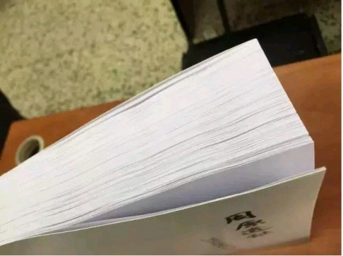 胡文怡的考古工作報告