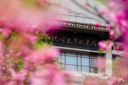 谷雨