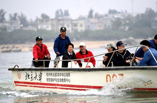 在廣西欽州市三娘灣海域💁🏿，潘文石（左四）乘船出海觀察白海豚活動情況（3月19日攝）🧗🏉。陸波岸 攝