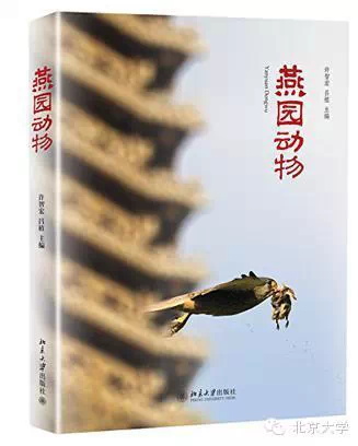 燕園動物